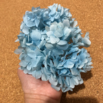 プリザーブドフラワー紫陽花 ブルー3ｇ