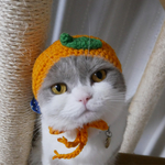 猫用帽子🍊冬みかん 犬用帽子