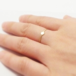 IHM-2 (I Hate Mondays ring 2)