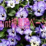 mint様専用ページです。