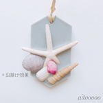アロマワックス☺︎貝殻