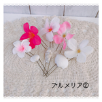  特別特価♡プルメリア2＊ 結婚式＊ウエディング＊ヘアアクセサリー＊貝殻フラワーUピンセット♡