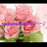 usakuma-disk様の専用ページ