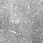 NO.26  片耳用ピアス