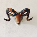 ANIMAL TROPHY Algari(M.size)