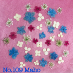 ♡押し花素材♡紫陽花、レースフラワー、バーベナ♡