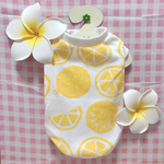 ワンちゃんのお洋服ฅ´•ᴥ•`ฅ オレンジ柄＊犬服