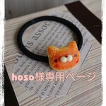 ～hoso様専用ページ～