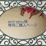 emi-emu様専用ご購入ページ