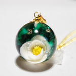 水中花 白椿