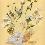 ハーバリウム花材セット 白とちょっと金