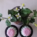 ちりめん  お仏壇  お供物  菊  落雁