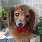 (apricot mam様専用ページ)ダックスちゃん