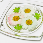 押し花のアクリルコースター（ノースポールPN &MG）