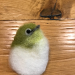 メジロちゃんとブローチ