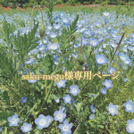 saku-megu様専用ページ