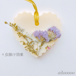 アロマワックス☺︎フラワー