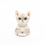 コルクのスノーベンガル子猫
