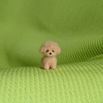 トイプードル  アプリコット パピー 羊毛フェルト