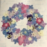 #49　紫陽花✿押し花素材セット(*´ω`*)♡*ﾟ