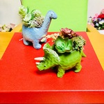 父の日にも😊多肉ちゃん🌿恐竜グリーン🦖💚