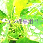 ジュン様専用ページ2