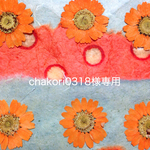 chakori0318様専用