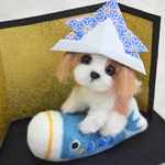 シーズーちゃんの端午の節句　ゴールド