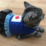 日本応援ユニフォーム風２