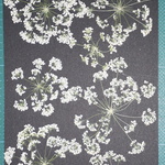 押し花商品【レースフラワー 】