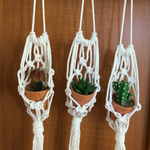 プラントハンガー♡1個