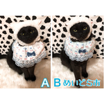 ミルク柄ケープ、猫ちゃんの首輪