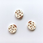 brooch＊tentoumushi