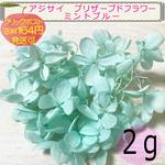 ◆No.19◆『ミントブルー』アジサイ　プリザーブドフラワー　２ｇ