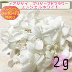 ◎SALE◎450円→390円◆No.24◆『エンジェルホワイト』アジサイ　プリザーブドフラワー　２ｇ
