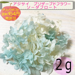 ◎SALE◎560円→390円◆No.25◆『ソーダフロート』アジサイ　プリザーブドフラワー　２ｇ