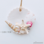 アロマワックス☺︎貝殻