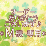 ♡M様専用♡洗えるトリーツポーチ♪【ヴィンテージプレート☆ネイビー】