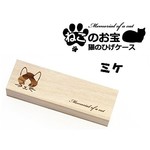 猫のヒゲケース。　見つけたらラッキー、そして捨てられなくてつい集めてしまう…（ミケ）