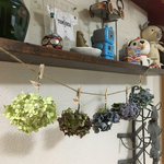 送料込み チビ助紫陽花のガーランド