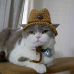 🤠カウボーイ