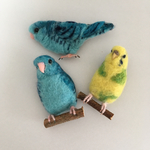 ※専用ページです※m様ご依頼、サザナミインコちゃんとセキセイインコちゃんのブローチです♪羊毛フェルト