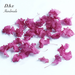 サルスベリの花《ドライフラワー》