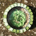 Arrangement 2(Magnet)