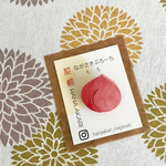 ながさきぶろーち「もも」