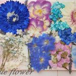 ★　お花いろいろ青系  押花素材　★