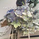 ran20100401様専用ページ