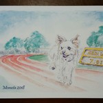 【momota140723様オーダー品】愛犬イラスト
