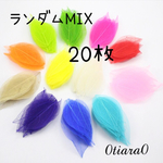 レインボー🌈スケルトンリーフ