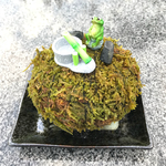 苔玉カエルシリーズ 鹿威し竹バージョン